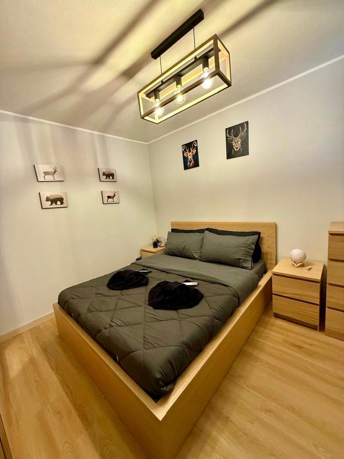 A&S Chalet Delle Alpi 巴多尼奇亚 外观 照片